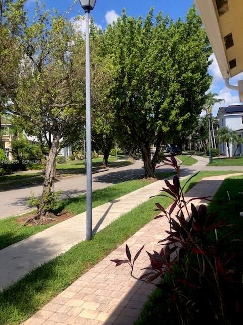 Tree Lined Streets