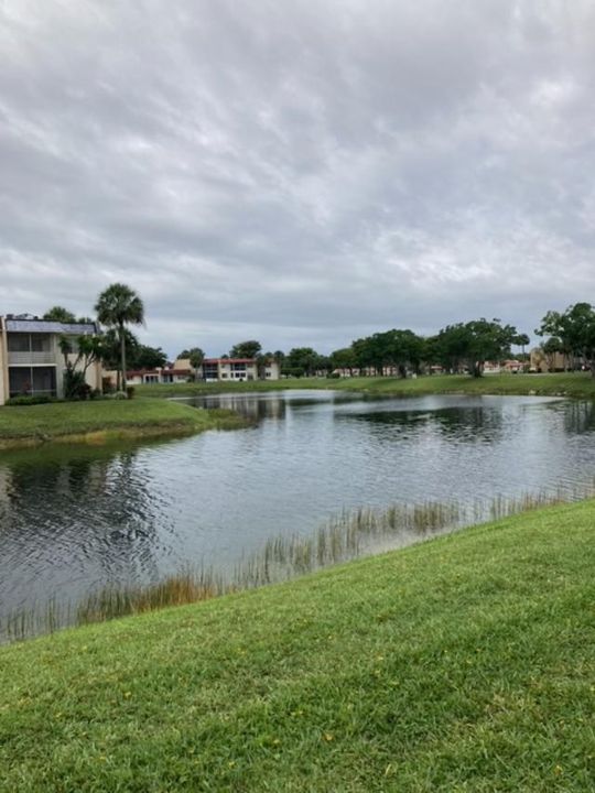 Beautiful Water Views