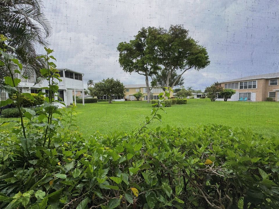 Greenery Views