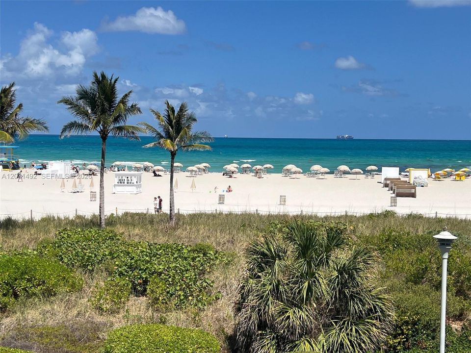Beach on the back yard