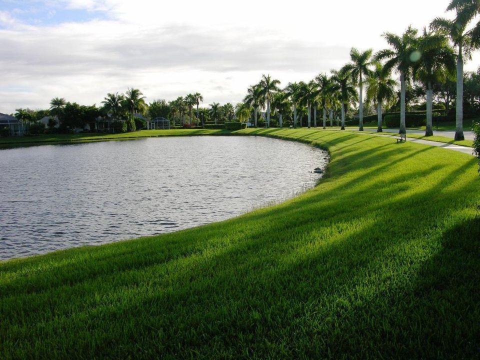 2-Lake and road near clubhouse
