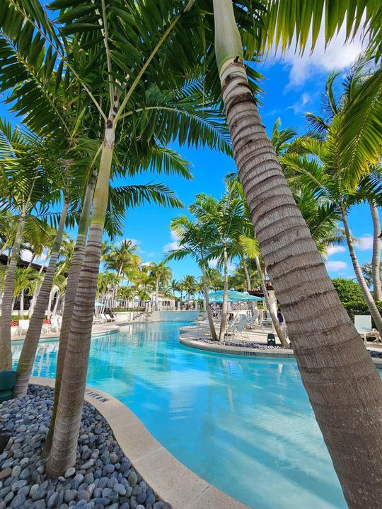 Gorgeous Resort Pool