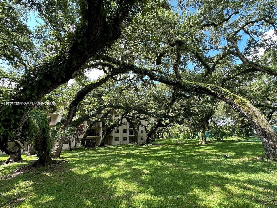 For Sale: $235,000 (2 beds, 2 baths, 1405 Square Feet)