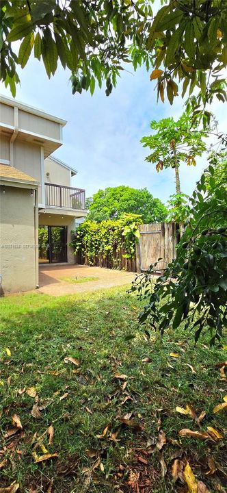 shade under your mango tree.
