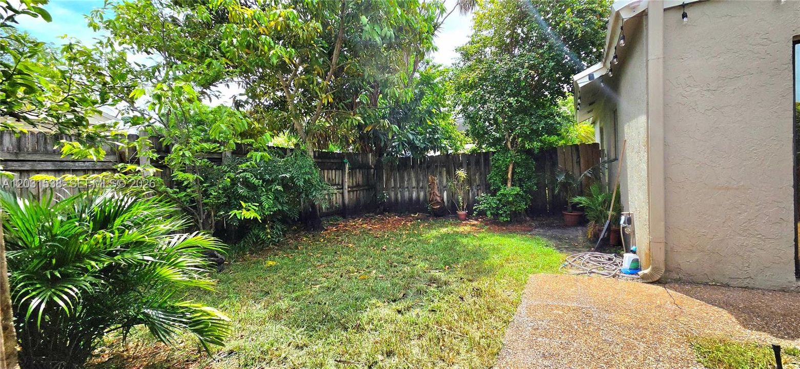 This yard comes with a Papaya, mango and mamei trees!