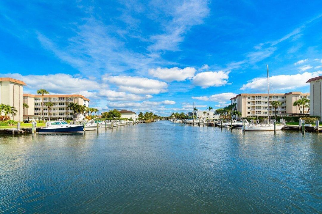 Tropic Bay Stock 11