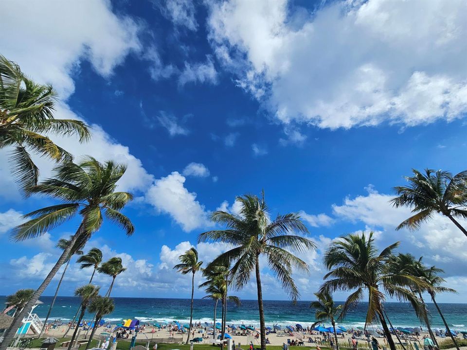 Beach Sunny Day people