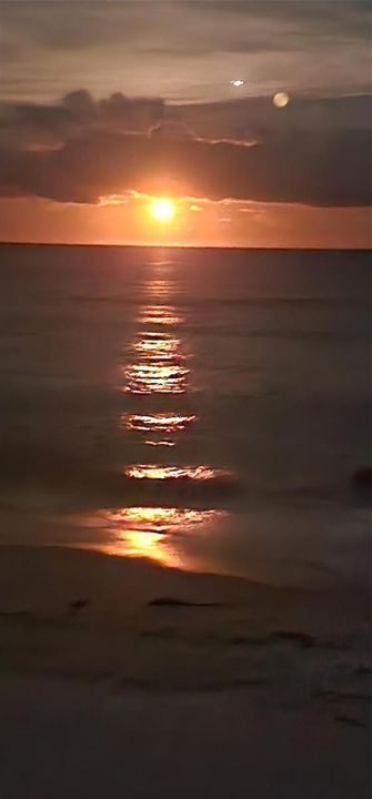 Moonlight over the beach