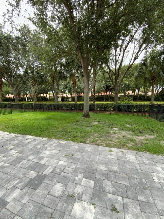Fenced In Yard