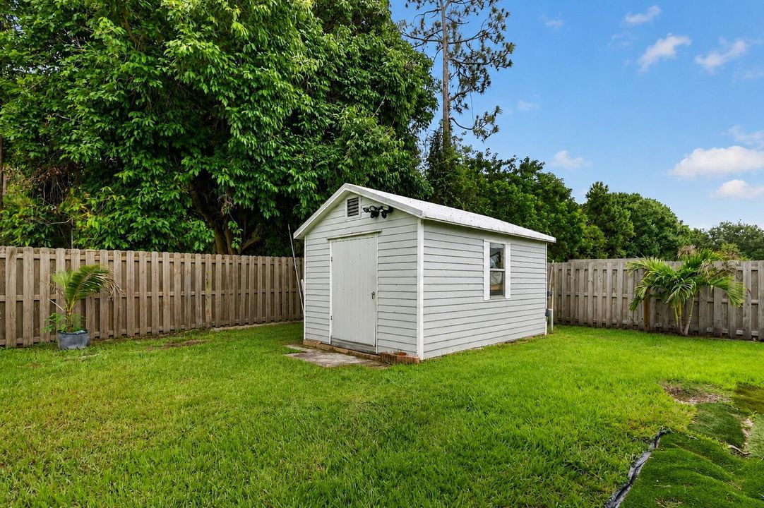 Backyard 2