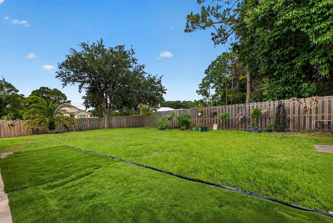 Backyard