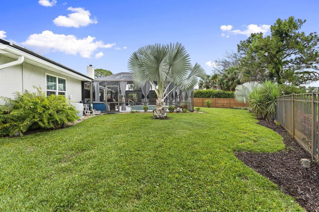 56-web-or-mls-DSC08815