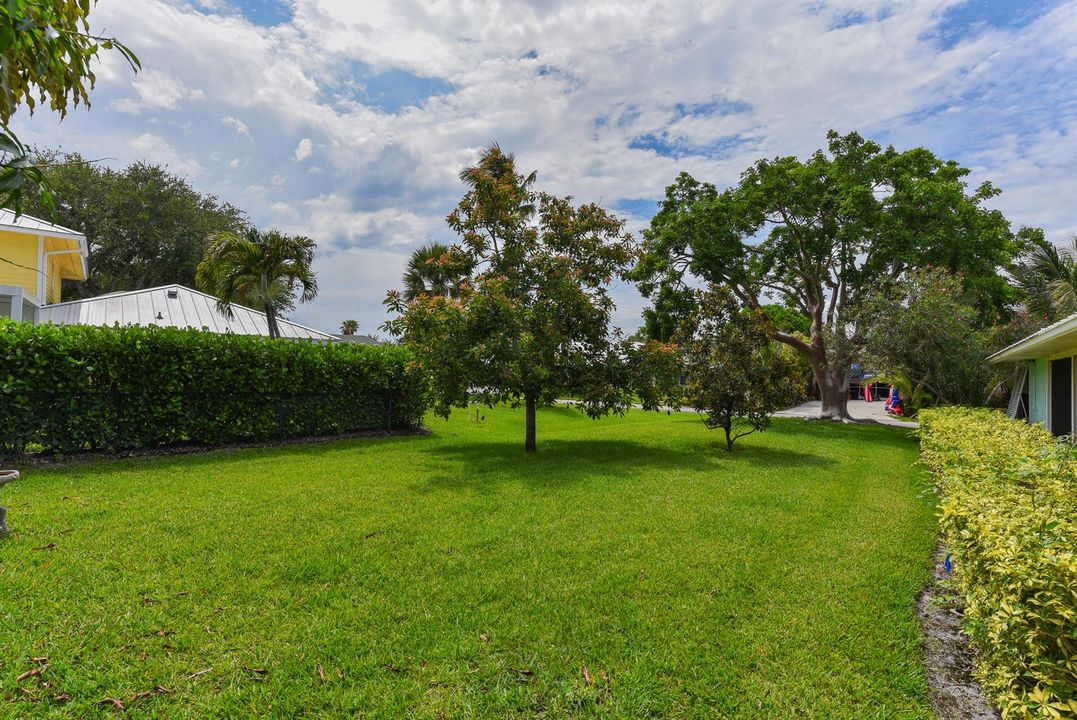 Beautiful Backyard
