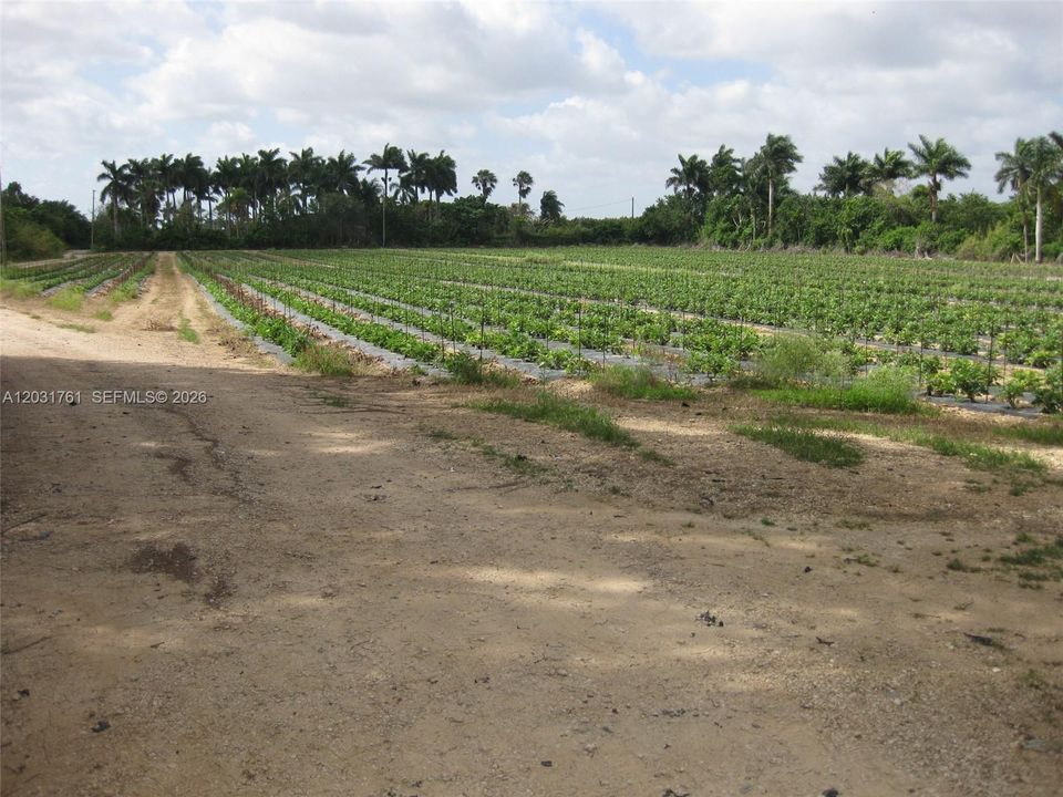 待售: $895,000 (4.37 acres)