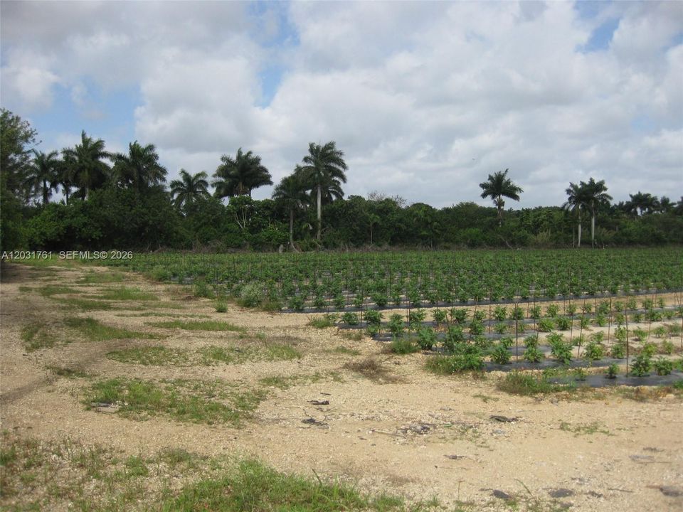 待售: $895,000 (4.37 acres)