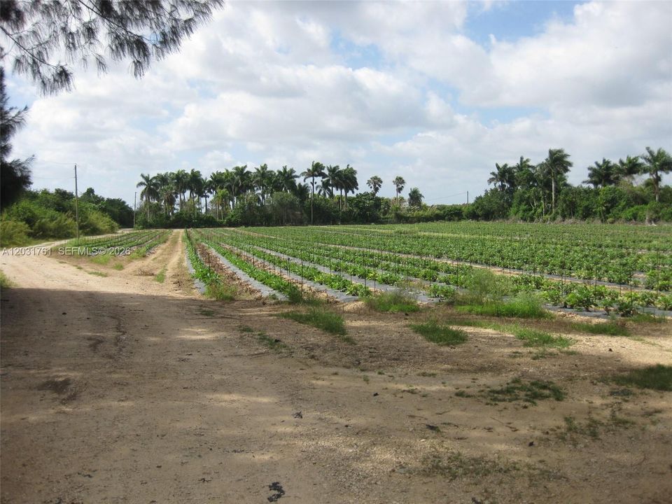 待售: $895,000 (4.37 acres)