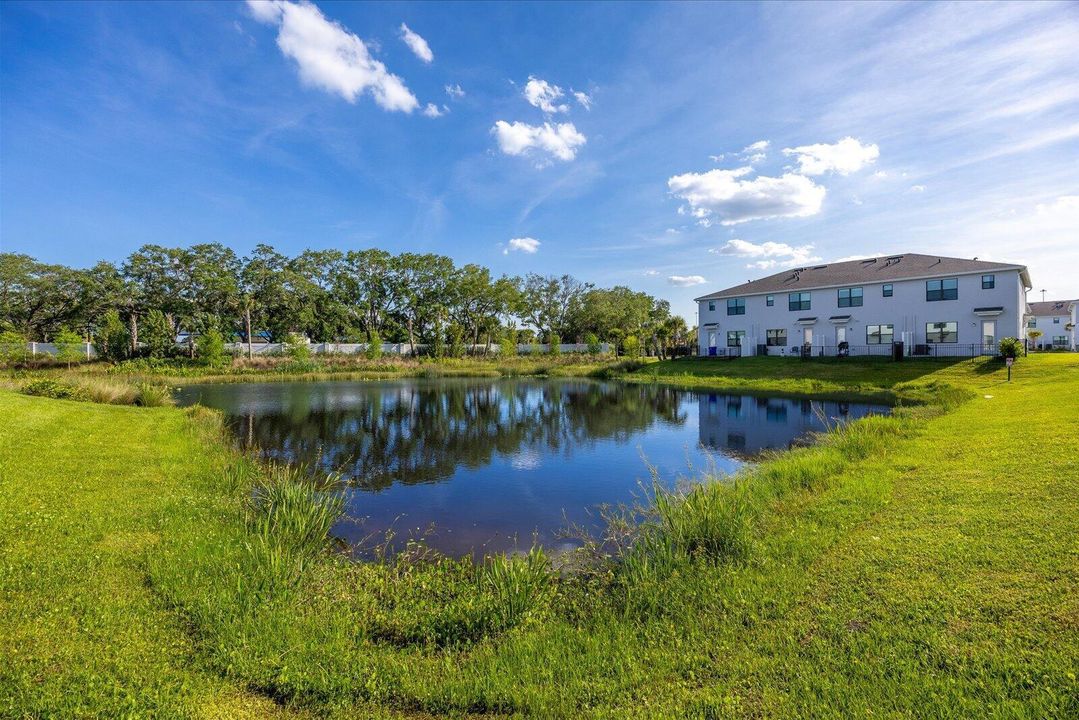 Pond View