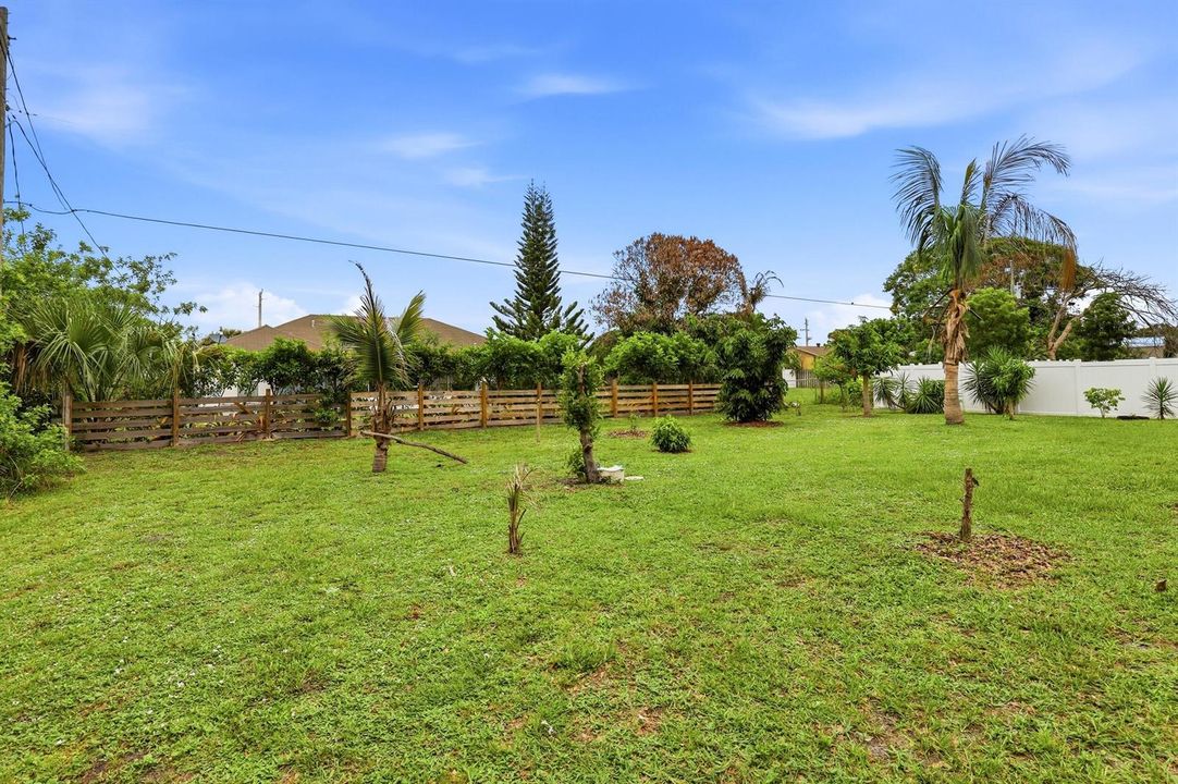 Back Yard