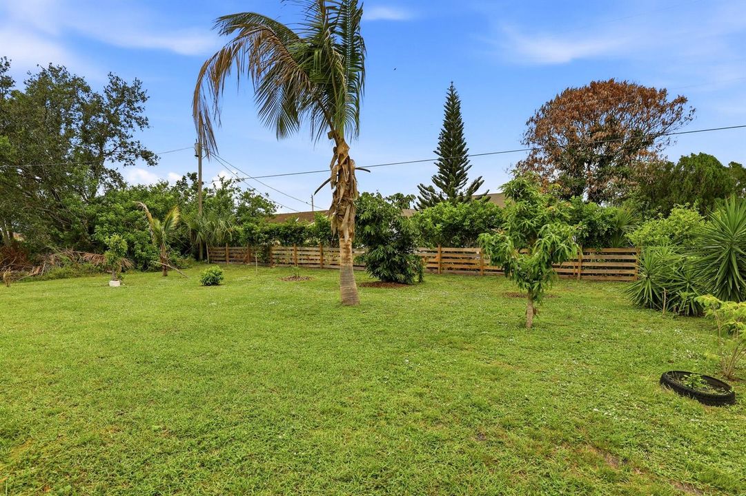 Back Yard