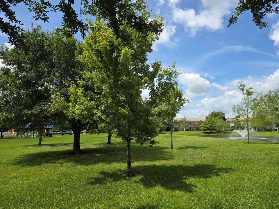 Rear Yard