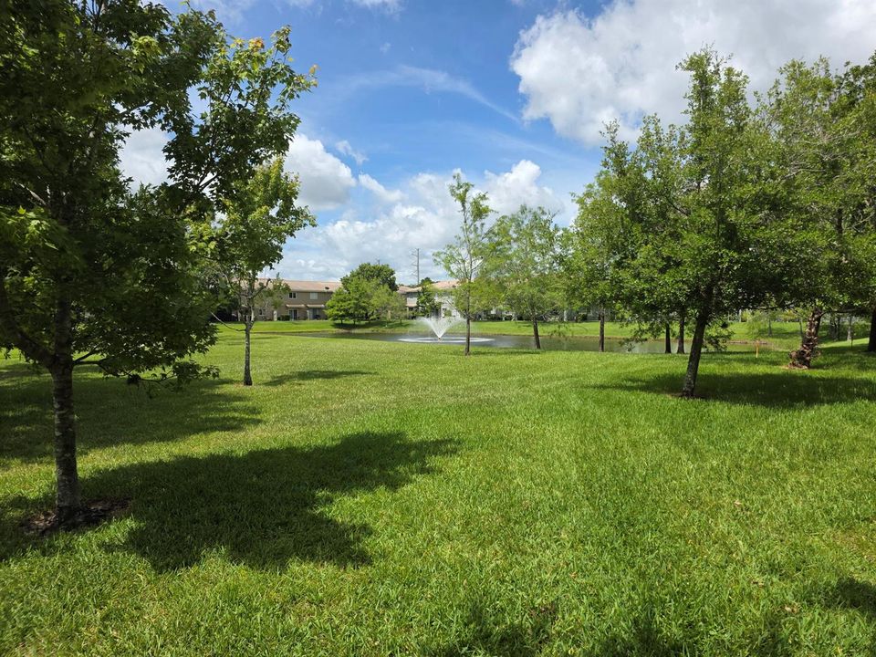 Rear Yard