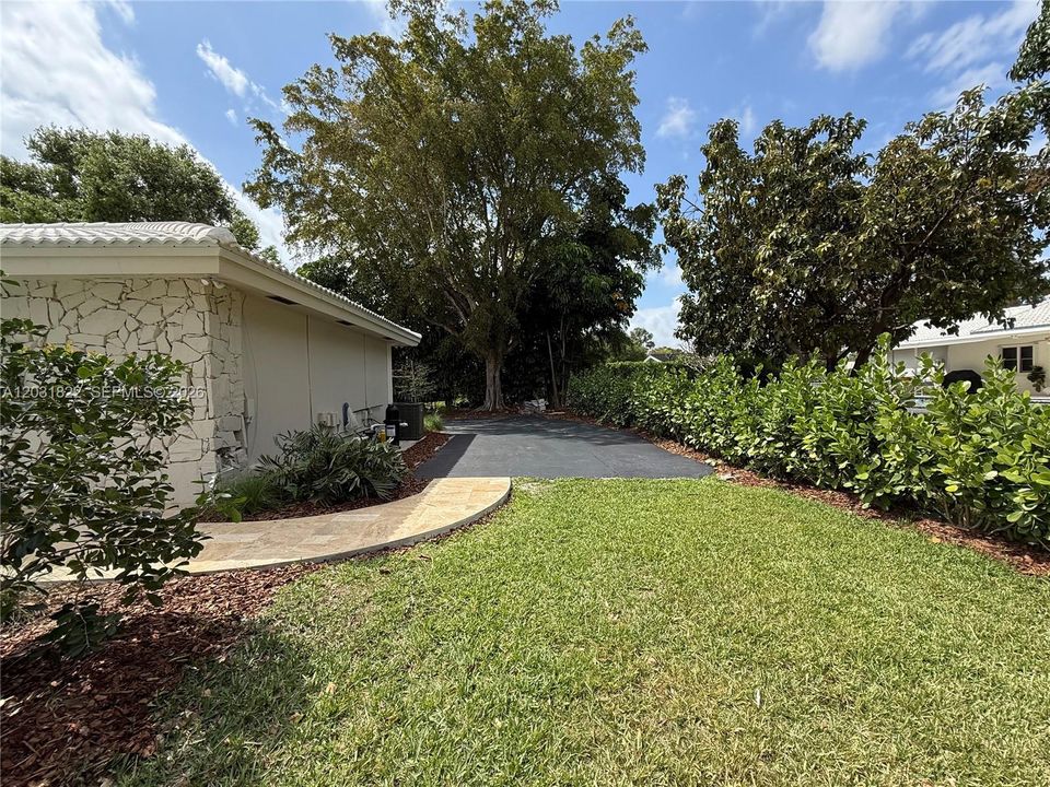 SIDE YARD