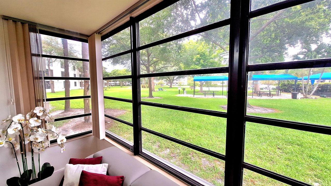 rear windows