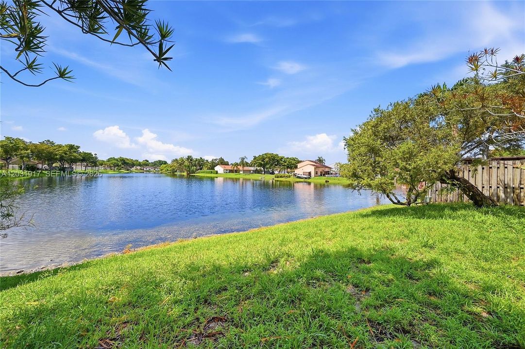 Backyard lake view