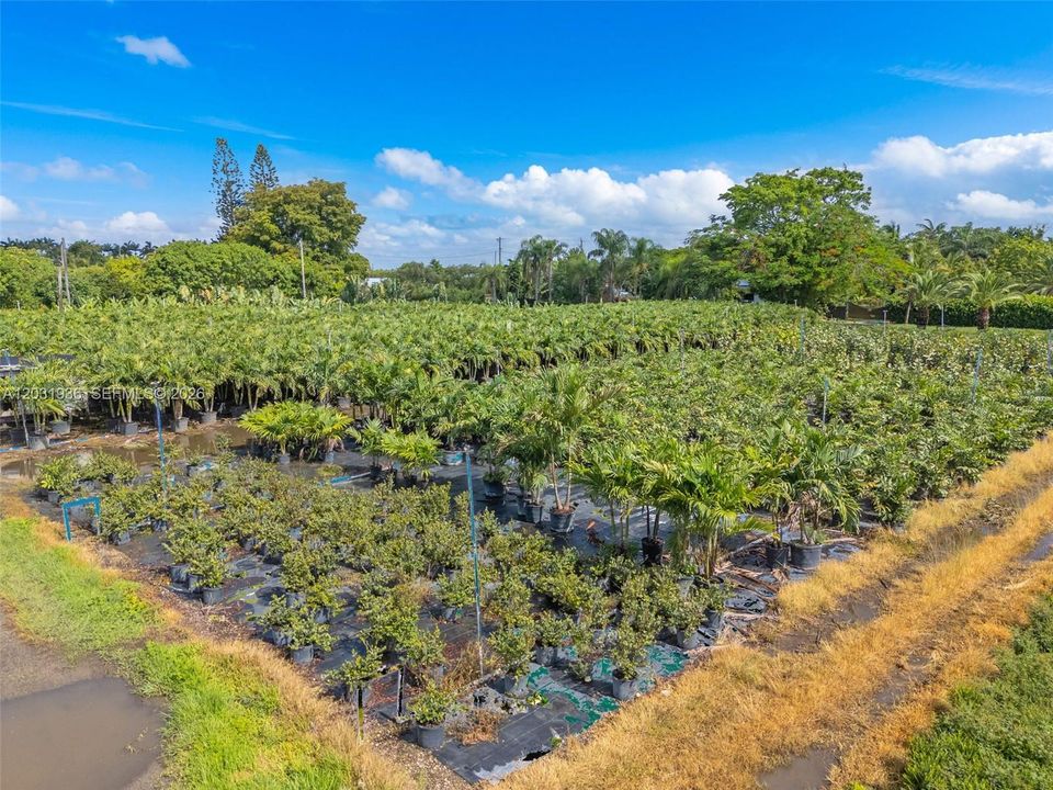 For Sale: $399,000 (1.26 acres)