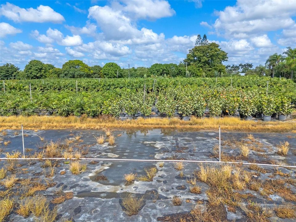 For Sale: $399,000 (1.26 acres)