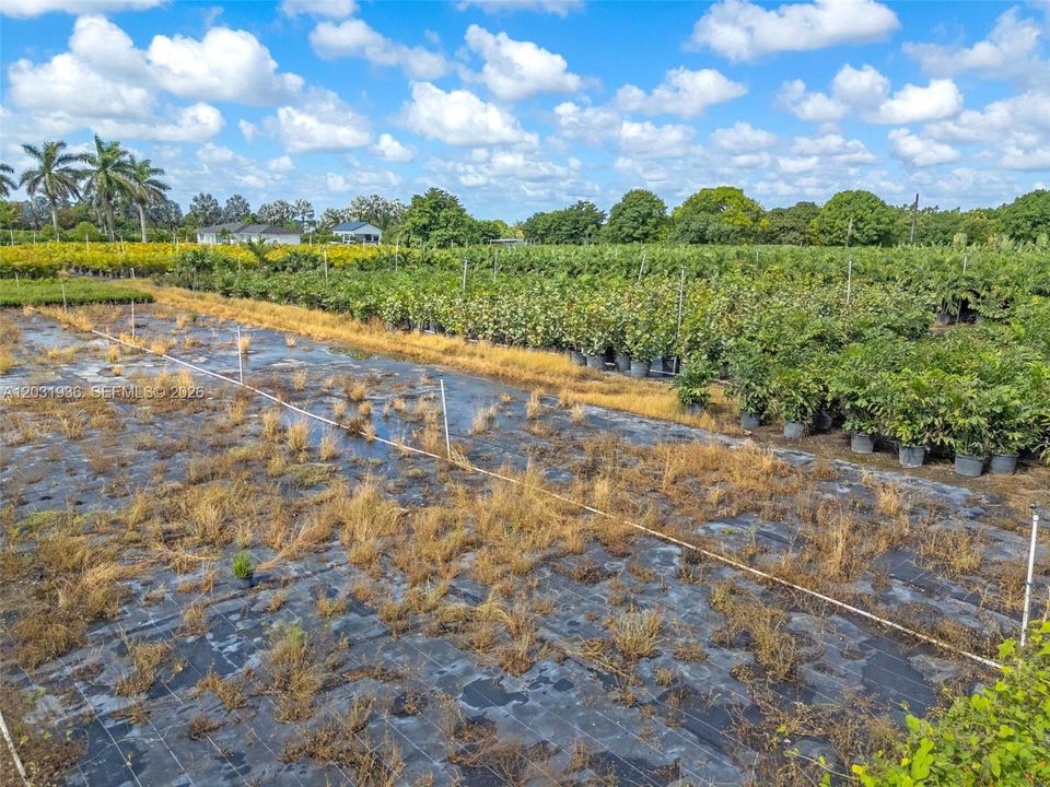 For Sale: $399,000 (1.26 acres)