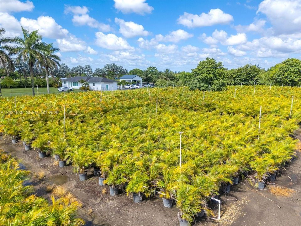 For Sale: $399,000 (1.26 acres)