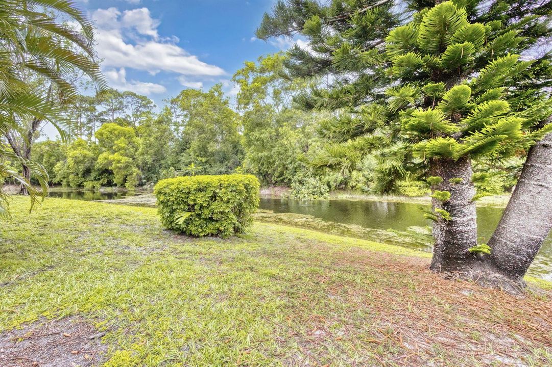 39-web-or-mls-5D1A9468