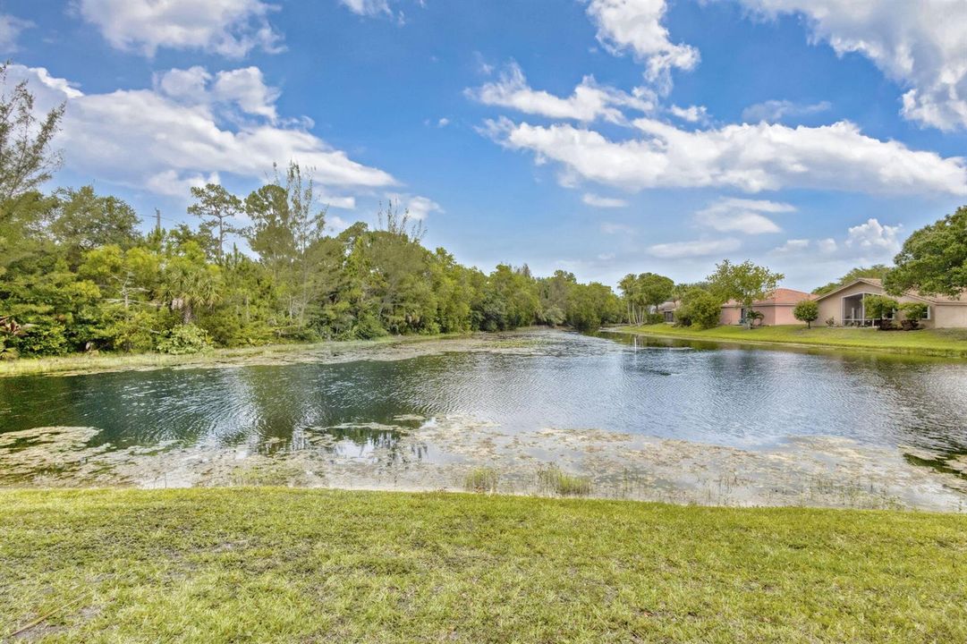 46-web-or-mls-5D1A9499