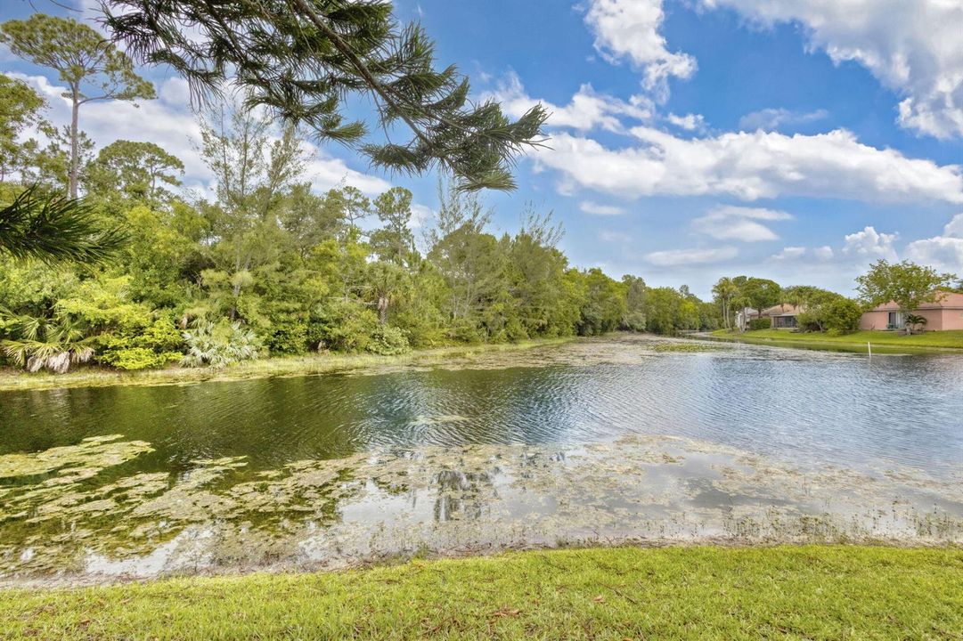 41-web-or-mls-5D1A9474