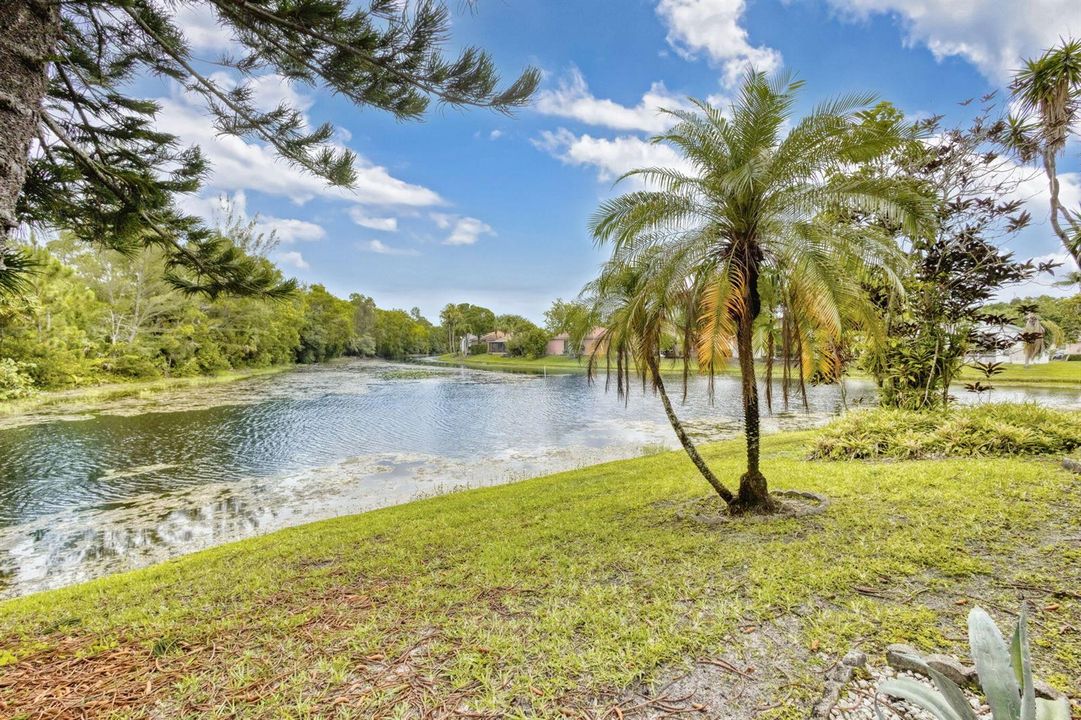 40-web-or-mls-5D1A9469