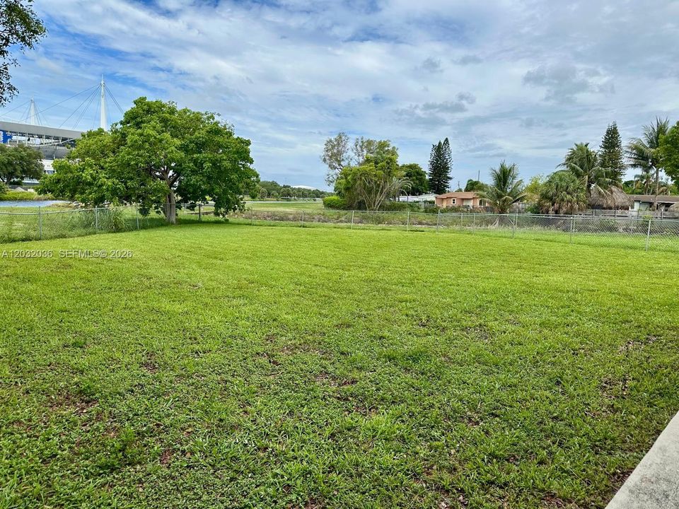 Actual Backyard