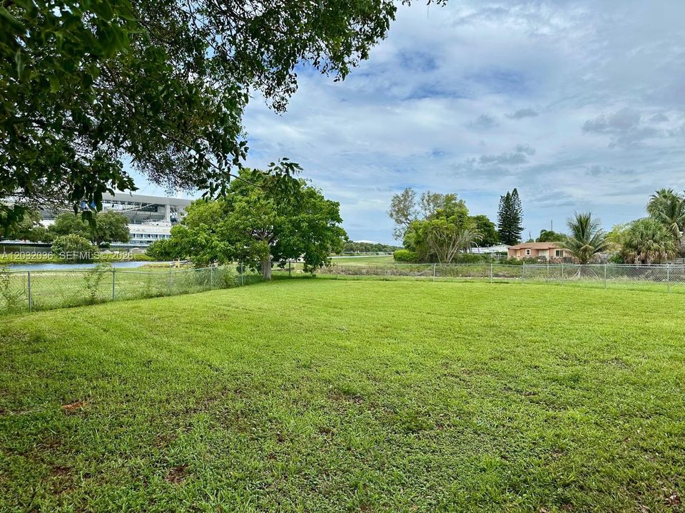 Actual Backyard