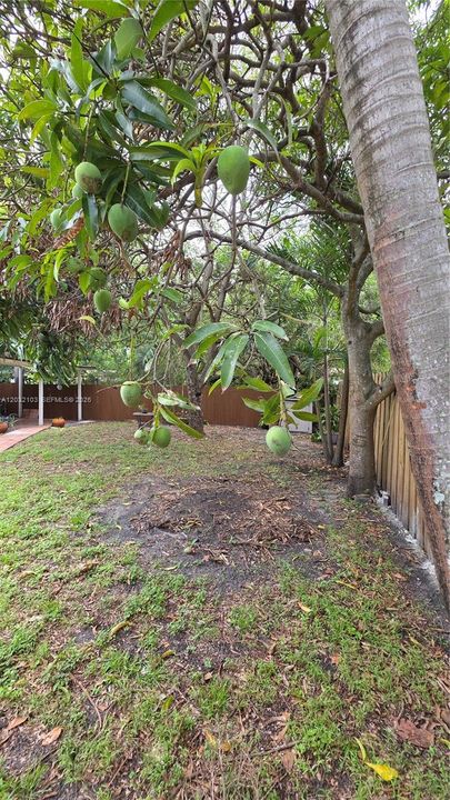 For Rent: $2,990 (3 beds, 2 baths, 0 Square Feet)