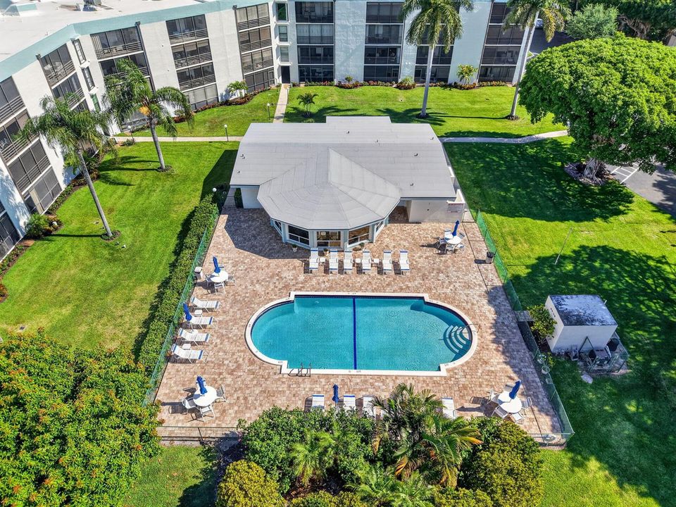 Banyan Tree- Delray Beach Pool