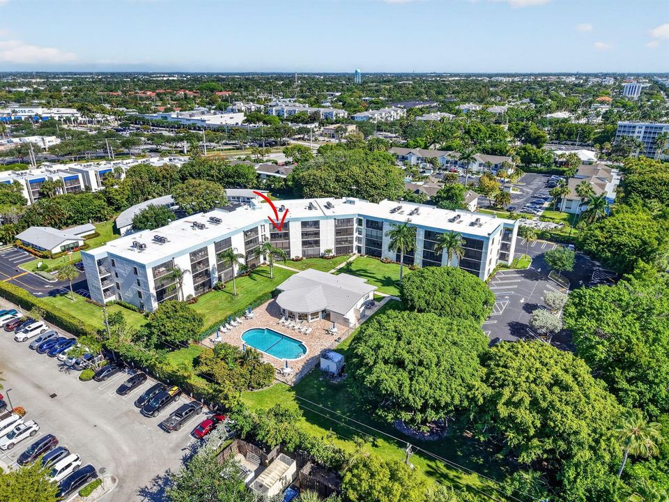 555 Banyan Tree