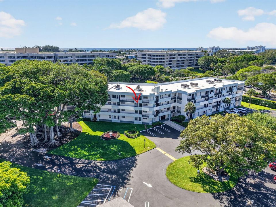 Banyan Tree