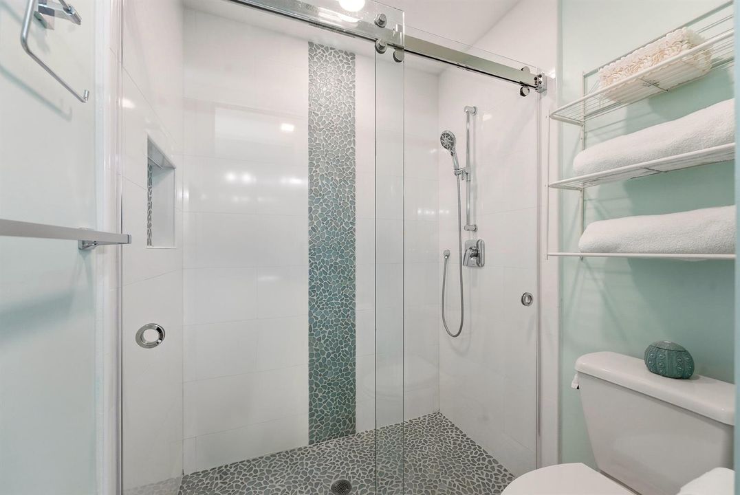 Upgraded Primary Shower with designer ti
