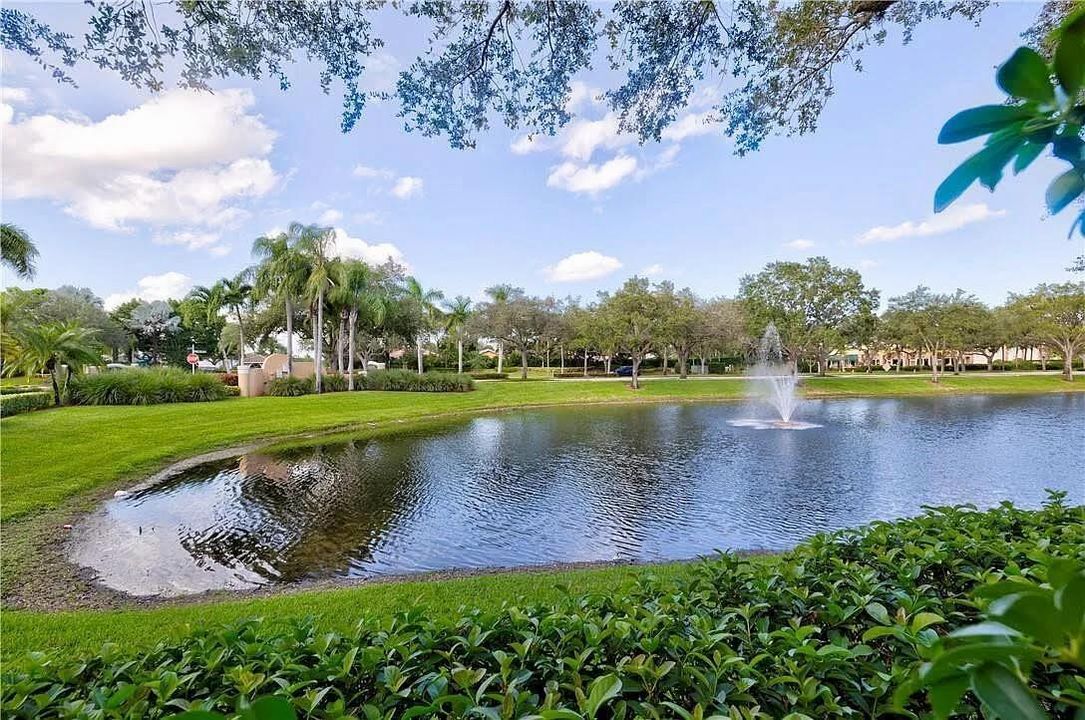 pond