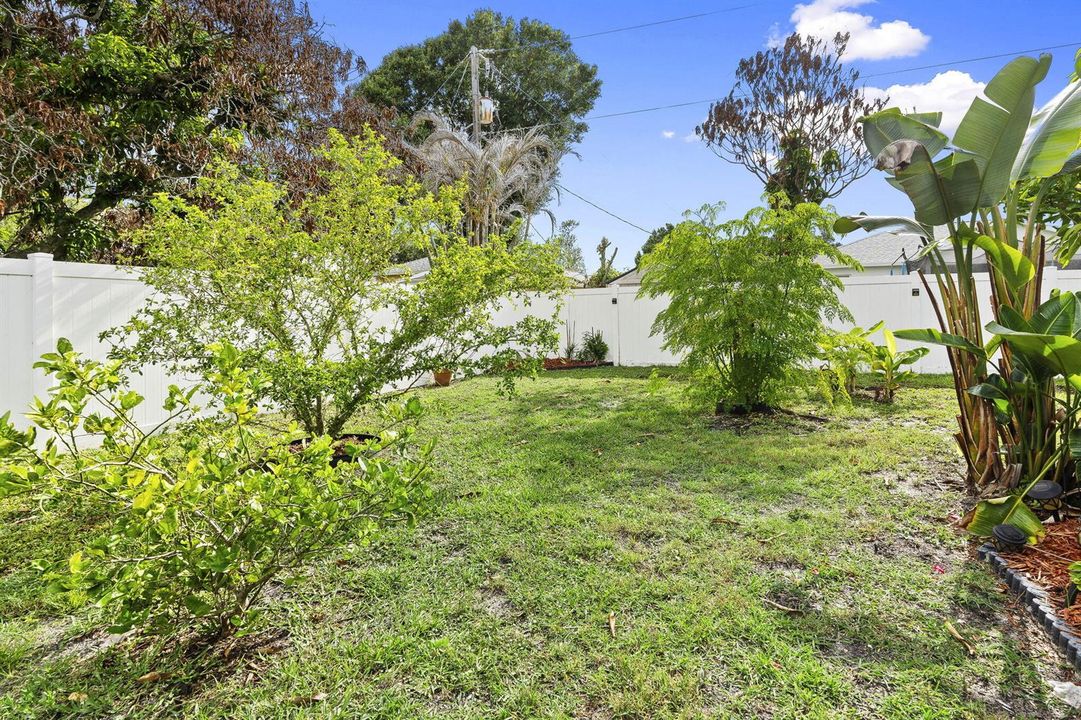 34-web-or-mls-DSC09292