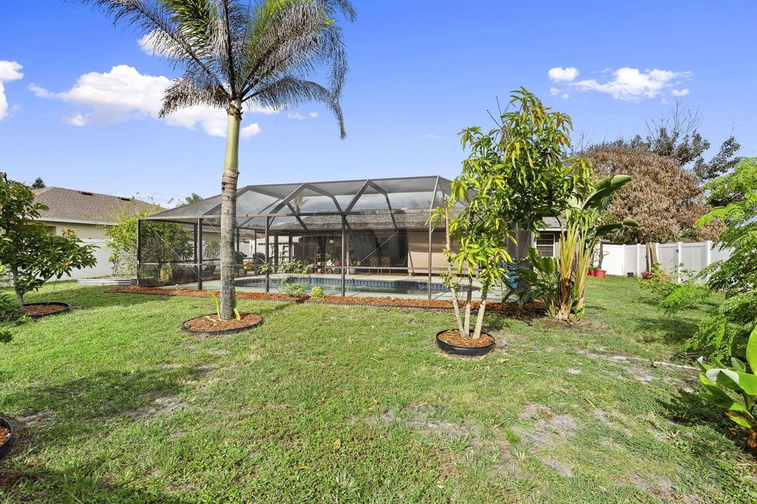 36-web-or-mls-DSC09310