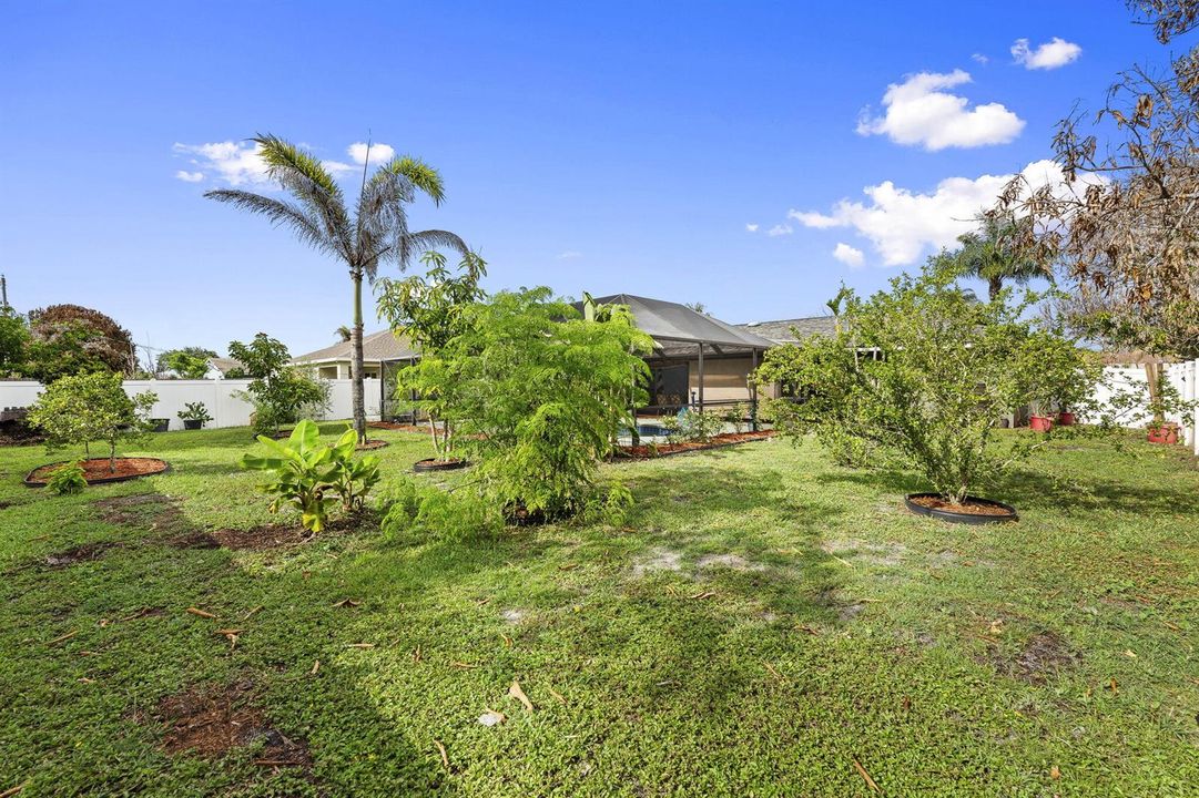 35-web-or-mls-DSC09301