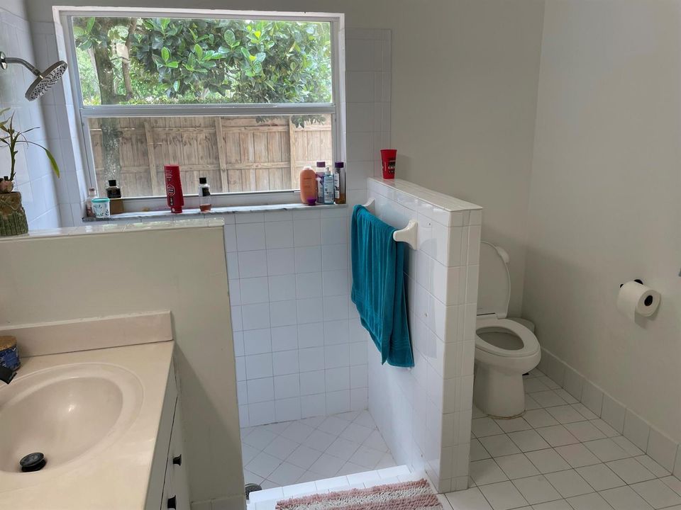 Master bathroom 4