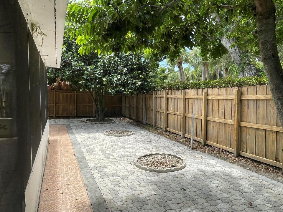 Backyard 3
