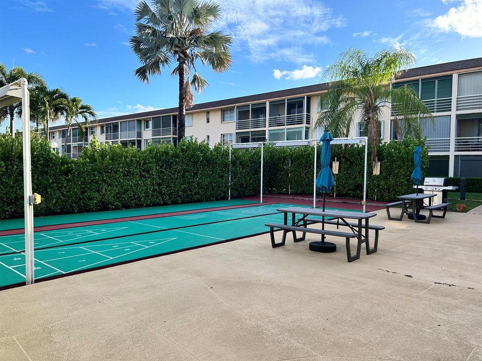 shuffleboard;bbq and picnic tables